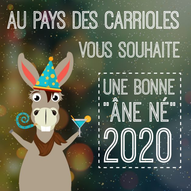 annee-nouvelle_annee-bonne_annee-jeux-parcdactivitesenfants-2020-parcdeloisirs-parcenfants-aupaysdescarrioles-la_boissiere