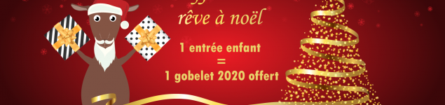 Noel_2019-parc_de_loisirs-attractions-sortie_familles-enfants-cadeaux-au_pays_des_carrioles